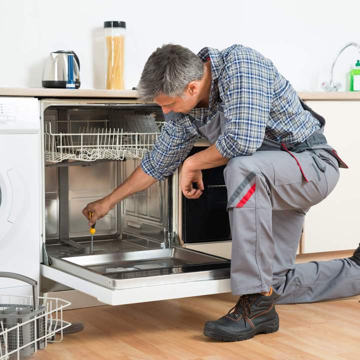 shutterstock 338973935 copy